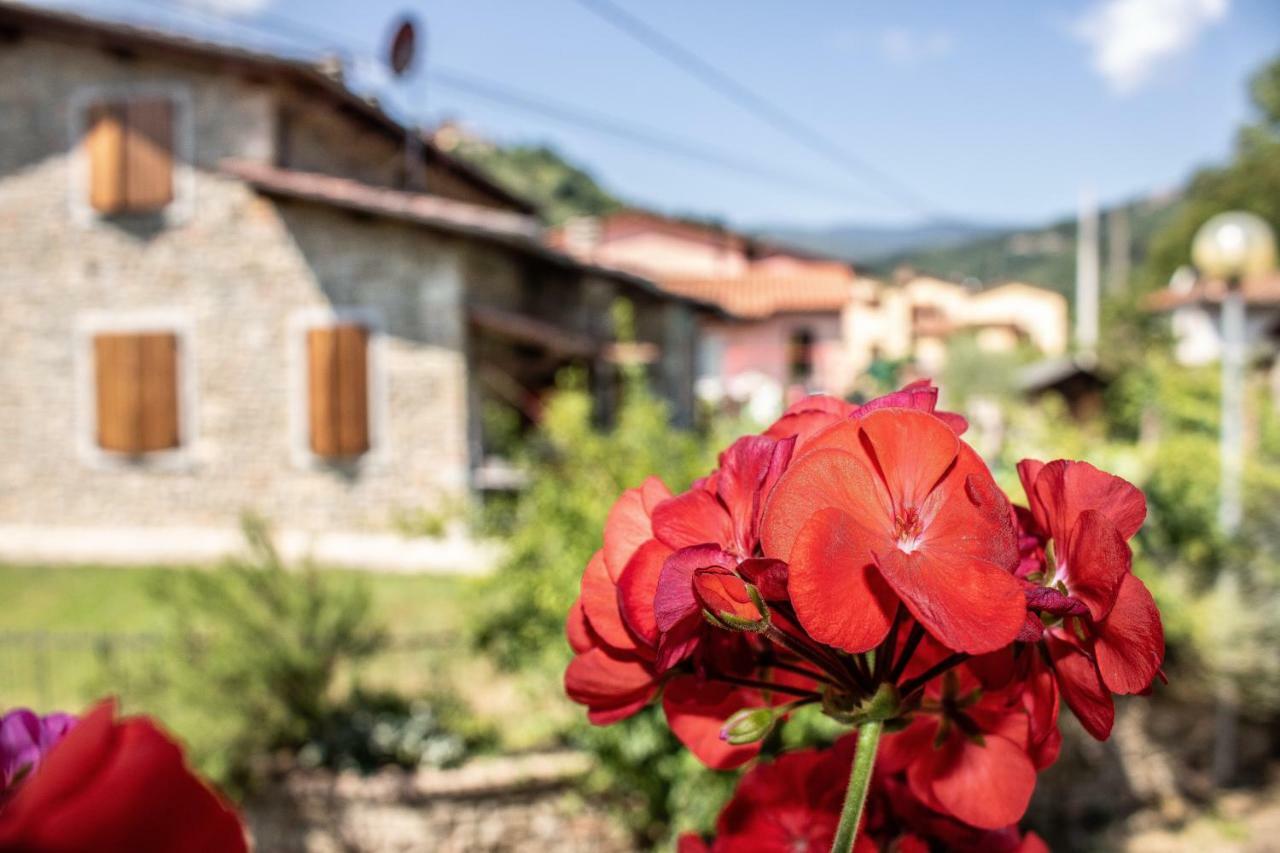 B&B La Casa D'Artista Ortignano Raggiolo ภายนอก รูปภาพ